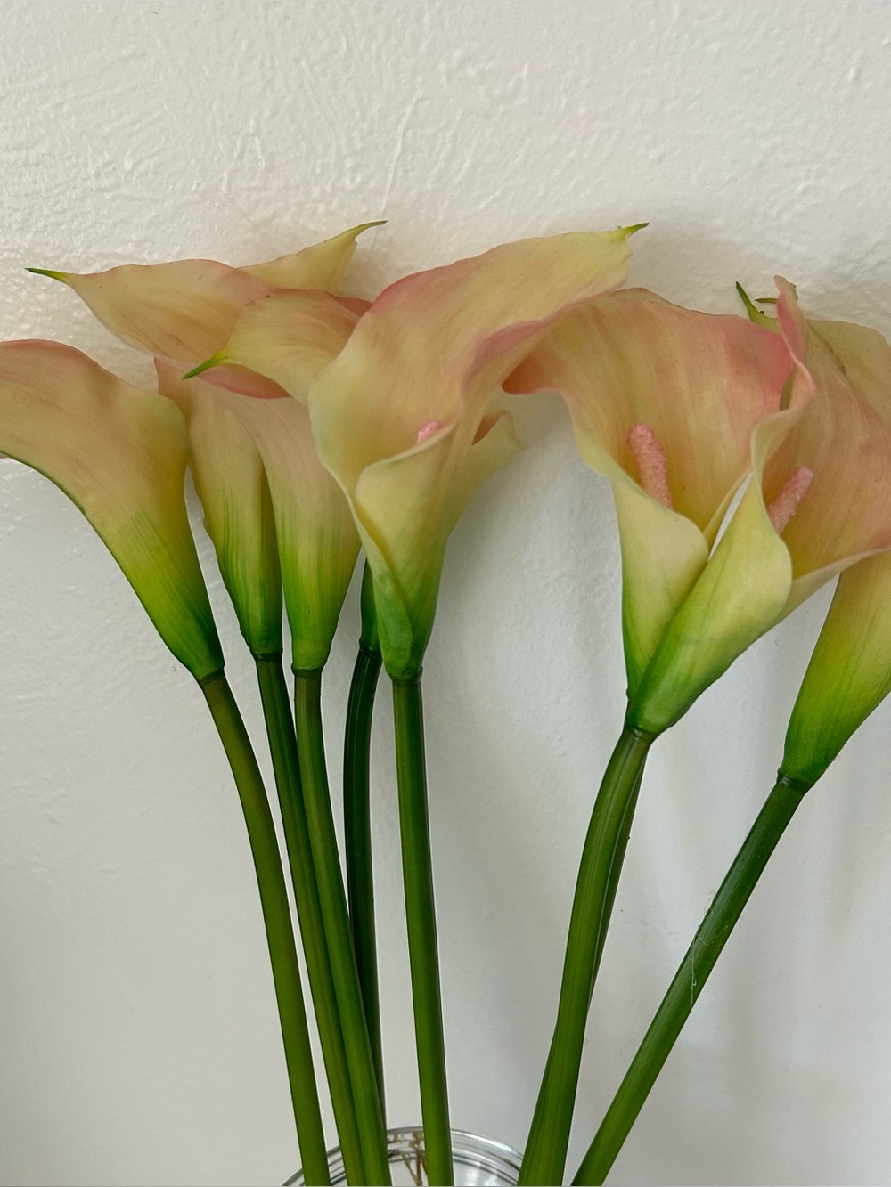 EUC - REAL TOUCH CREAM/PINK CALLA LILY FLOWER  – 8 STEMS 18” Tall